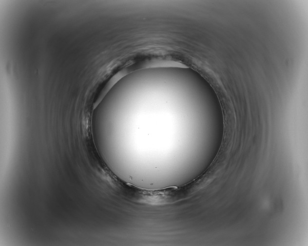 X0000085080288200703191331