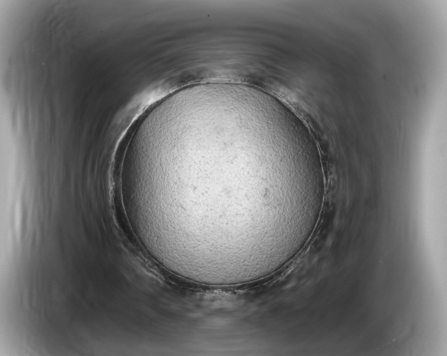 X0000085080290200703191331