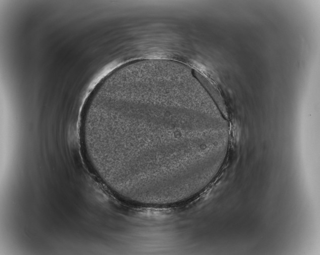 X0000085080292200703191331