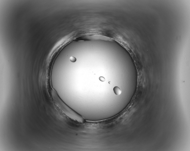 X0000085080293200703191331