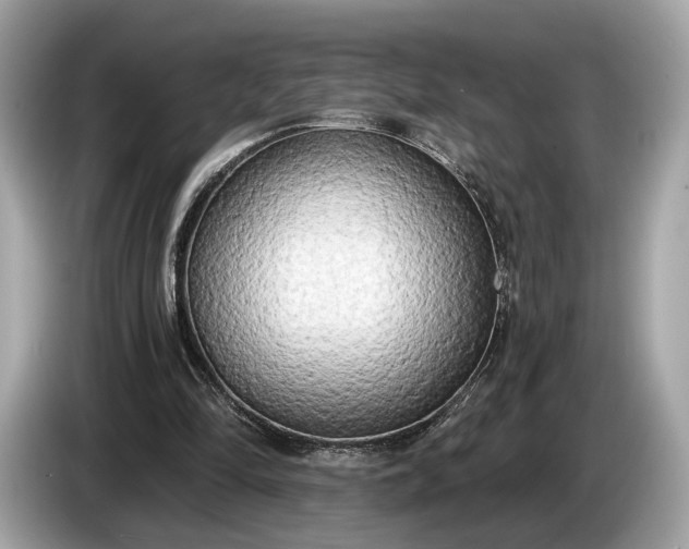 X0000085080294200703191331