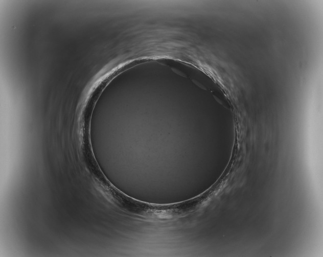 X0000085080295200703191331