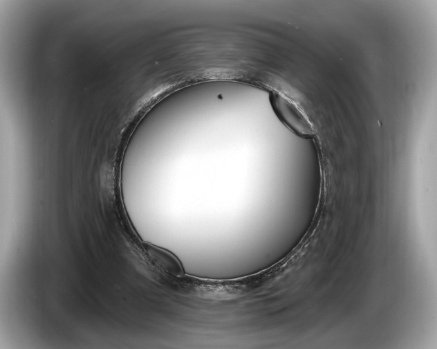 X0000085080297200703191331