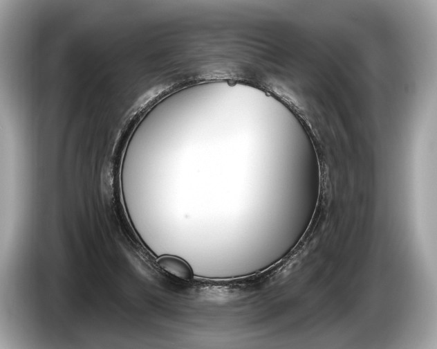 X0000085080298200703191330