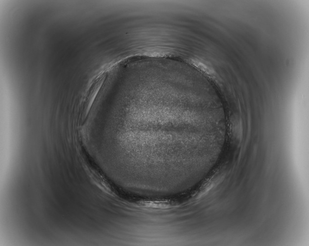 X0000085080303200703191330