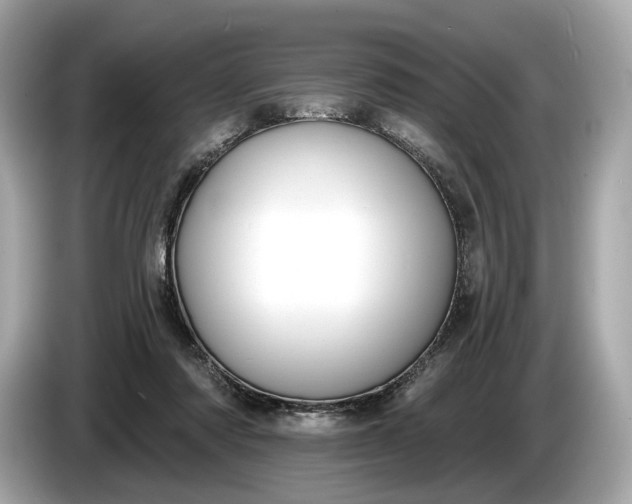 X0000085080310200703191330