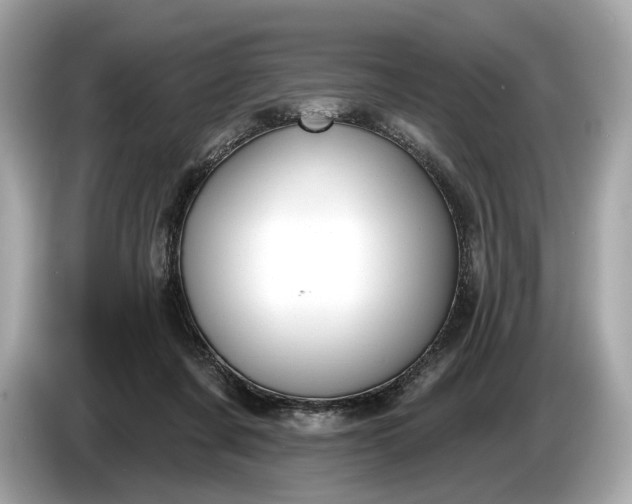 X0000085080311200703191330