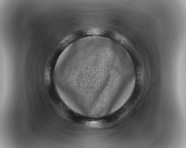 X0000085080312200703191330