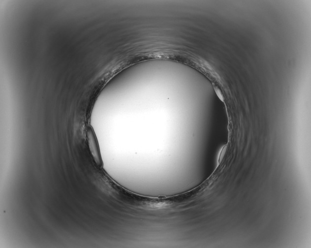 X0000085080313200703191330