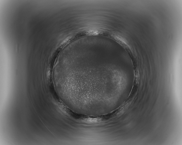 X0000085080314200703191330