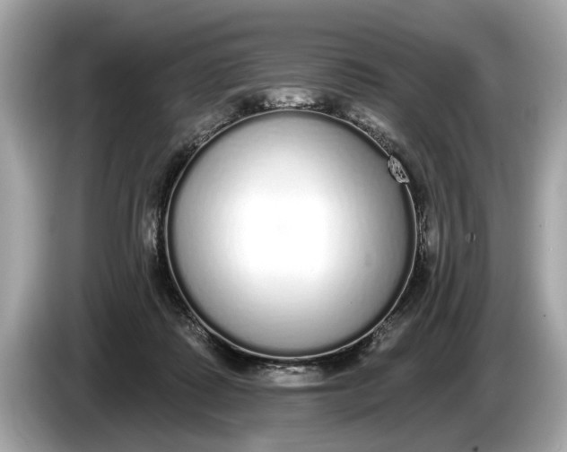 X0000085080315200703191330