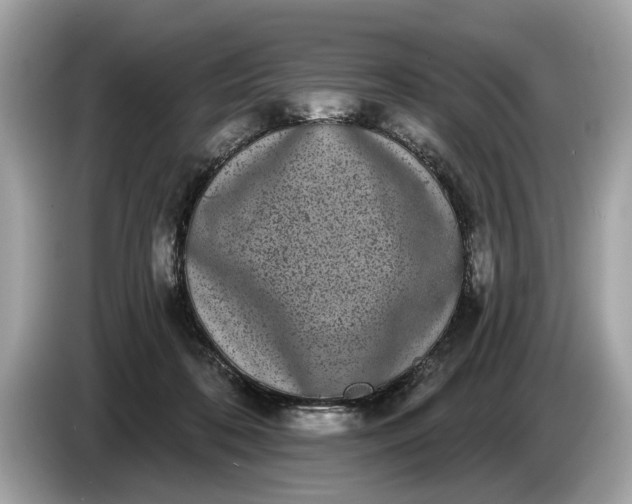 X0000085080316200703191330