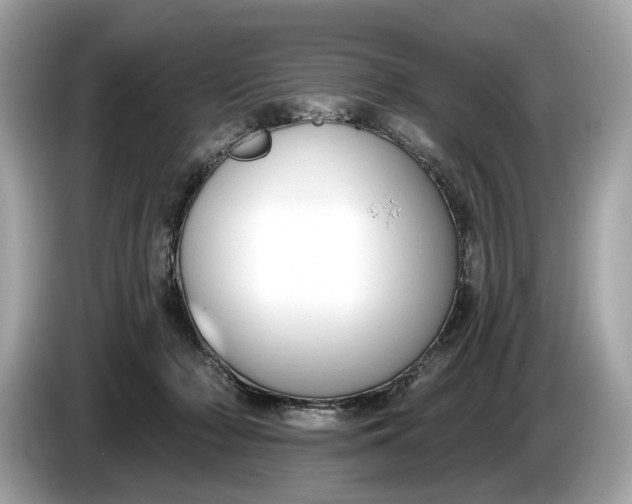 X0000085080318200703191330