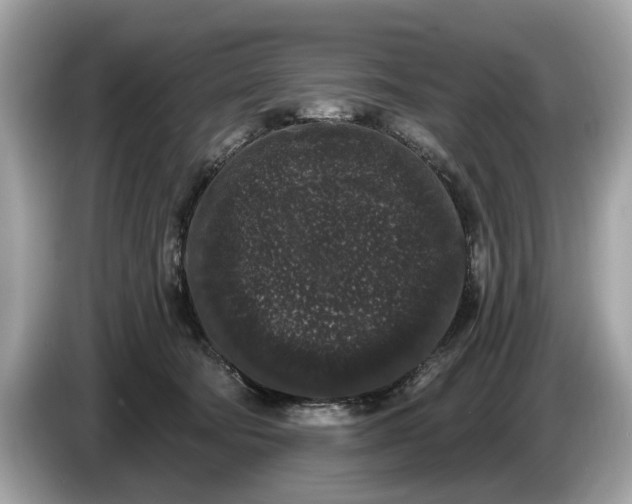 X0000085080322200703191330