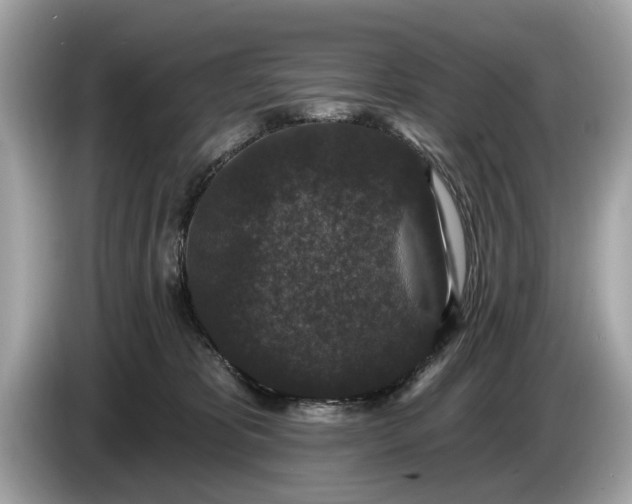 X0000085080325200703191330