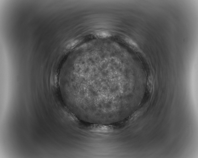 X0000085080330200703191330