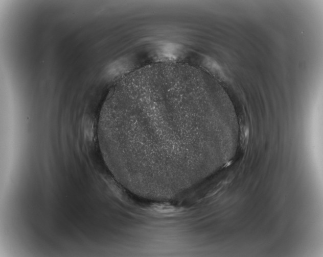 X0000085080331200703191330