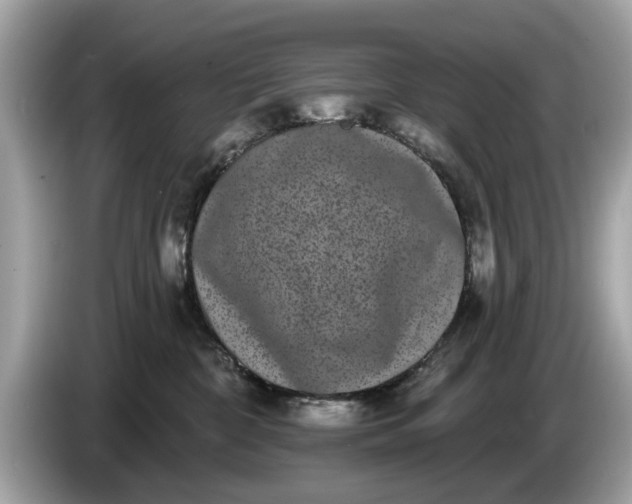 X0000085080332200703191330