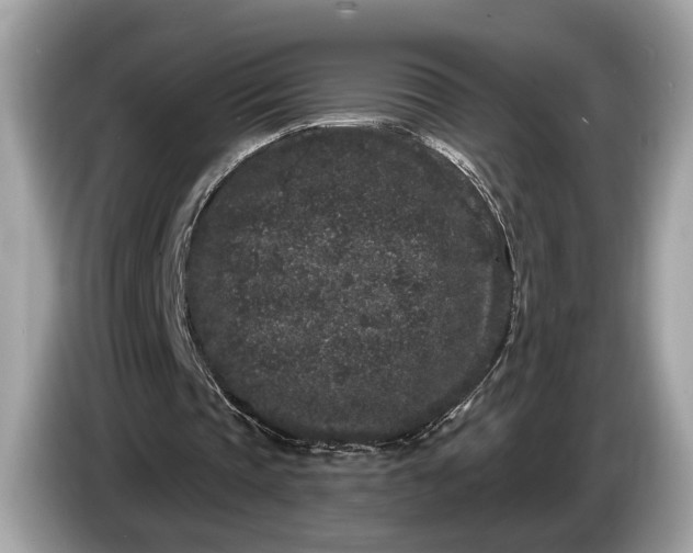 X0000085080337200703191329