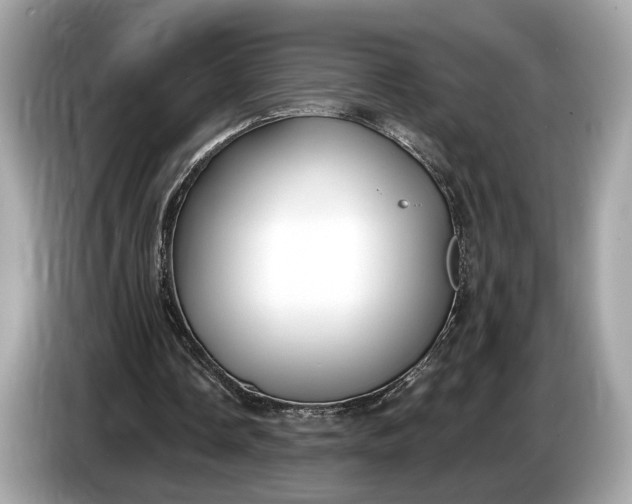 X0000085080338200703191329