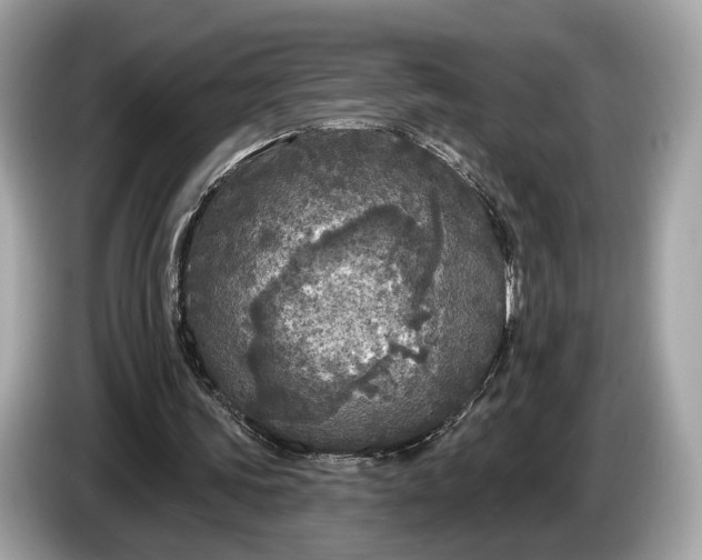 X0000085080339200703191329