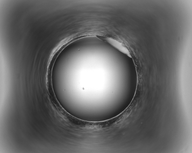 X0000085080340200703191329