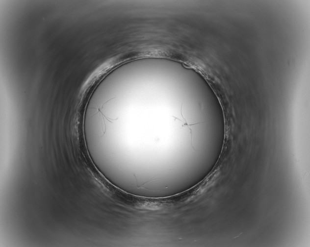 X0000085080341200703191329