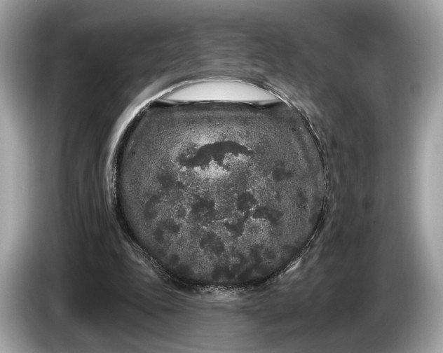 X0000085080343200703191329