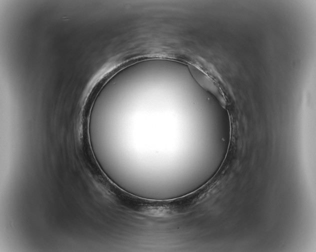 X0000085080344200703191329