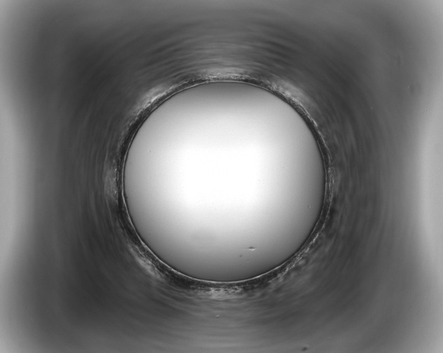 X0000085080345200703191329