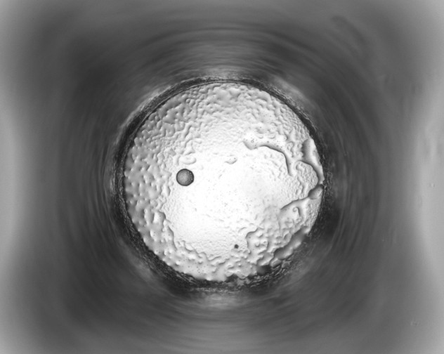 X0000085080347200703191329