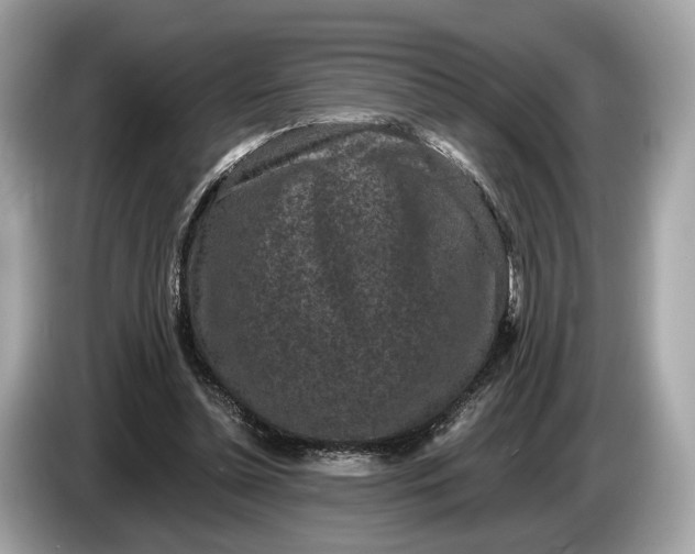 X0000085080348200703191329