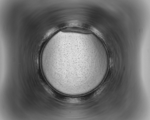 X0000085080349200703191329