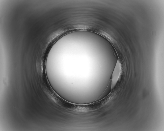 X0000085080350200703191329