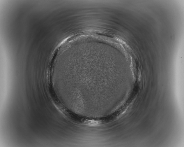 X0000085080352200703191329