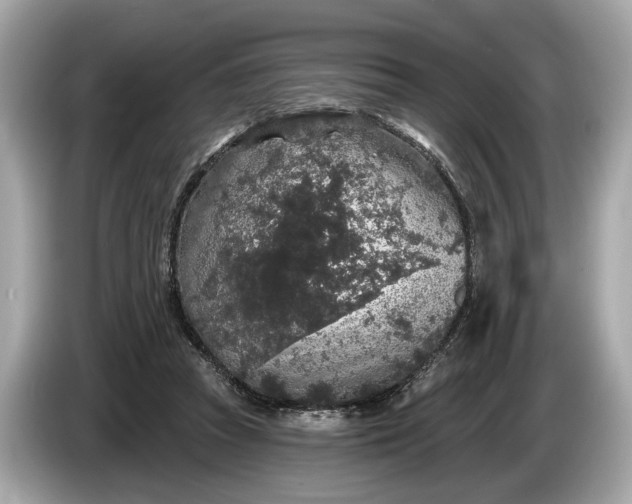 X0000085080353200703191329