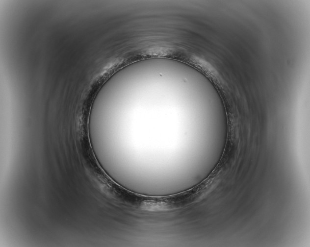 X0000085080354200703191329