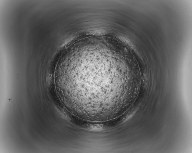 X0000085080355200703191329