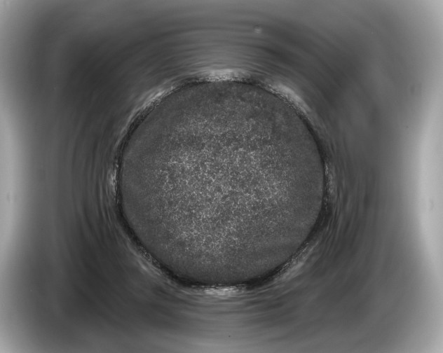 X0000085080357200703191329