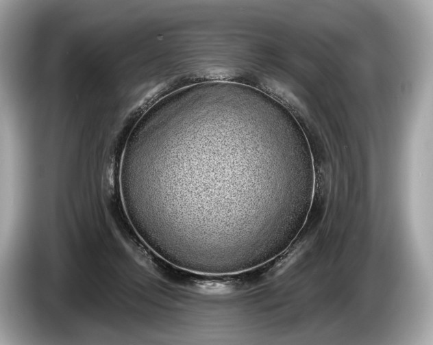 X0000085080358200703191329