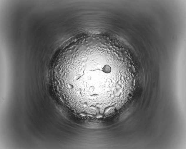 X0000085080359200703191329