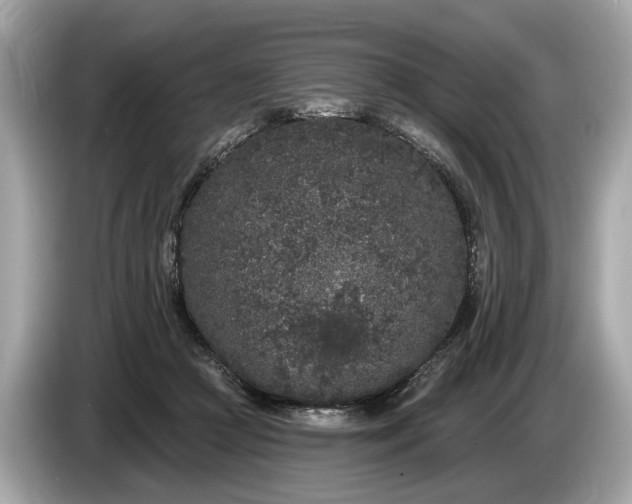 X0000085080361200703191329