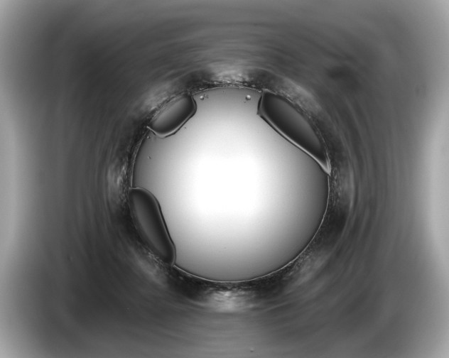 X0000085080364200703191330