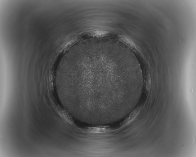 X0000085080366200703191330