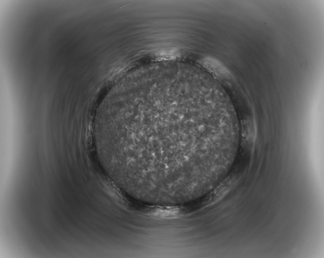 X0000085080369200703191330