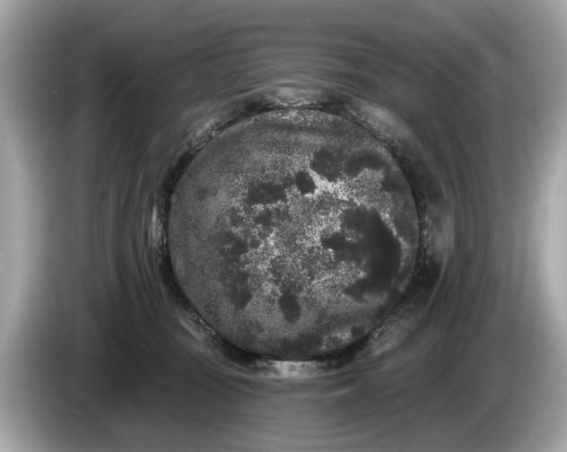 X0000085080371200703191330