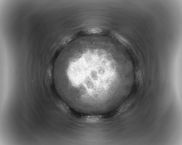 X0000085080373200703191330