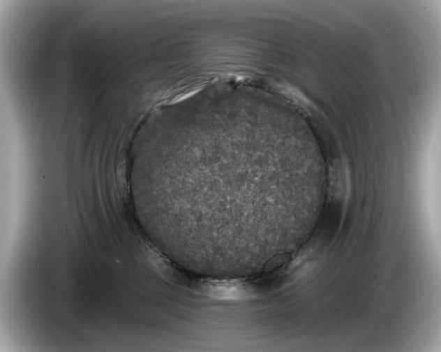 X0000085080377200703191330