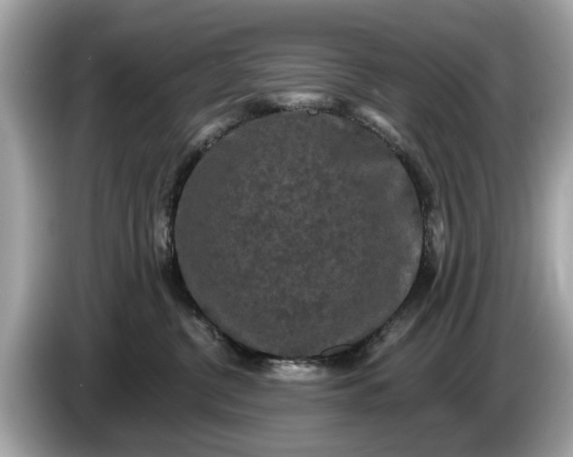 X0000085080380200703191330