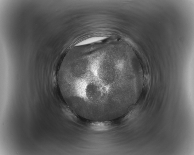 X0000085080381200703191330